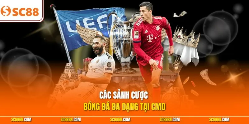 Các sảnh cược bóng đá đa dạng tại CMD 